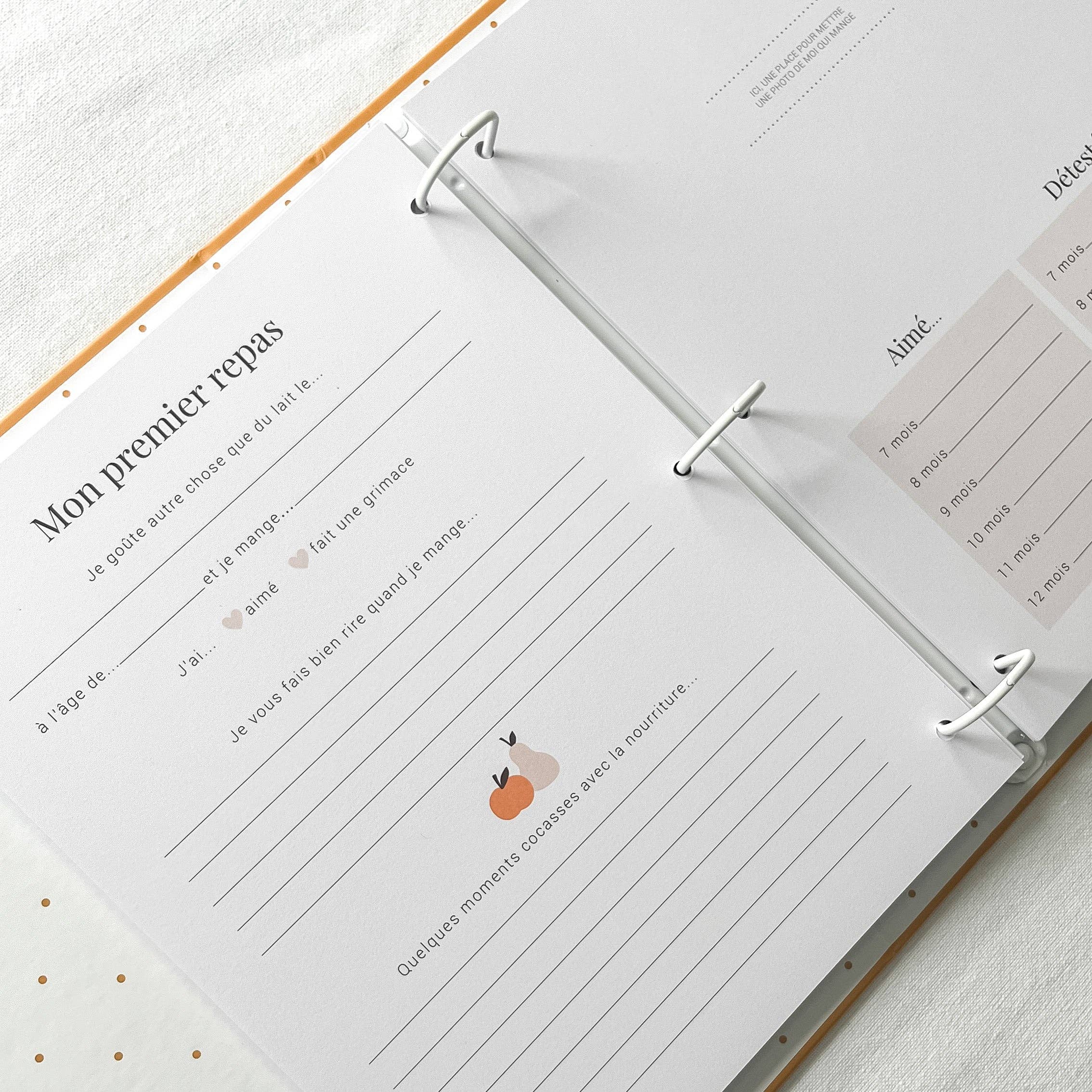 Le Petit Tableau Noir - Wholesale Memory Book - Kids & Baby - Baby book - Ochre3