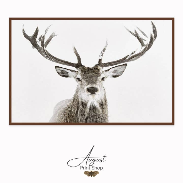 White Tail Deer for wholesale by August Print Shop