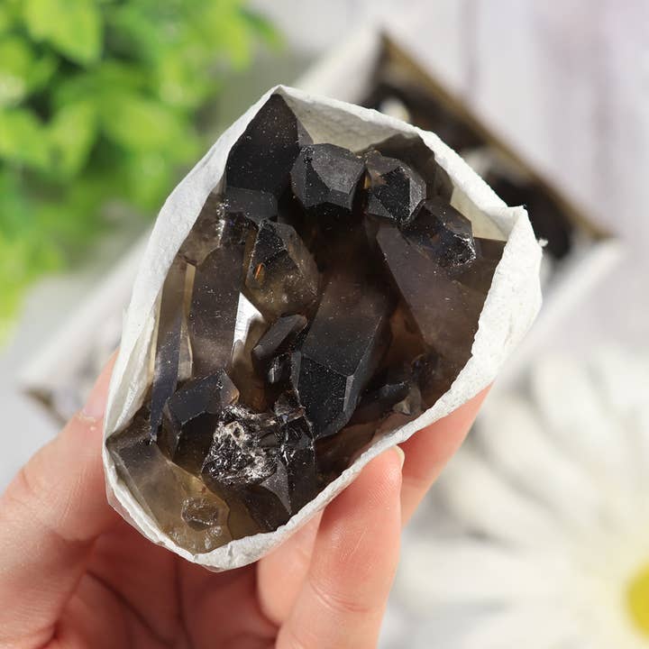 Natures Artifacts Inc - Wholesale Retailer Display - Beauty & Wellness - Smoky Quartz Clusters in a Flat (Small)2