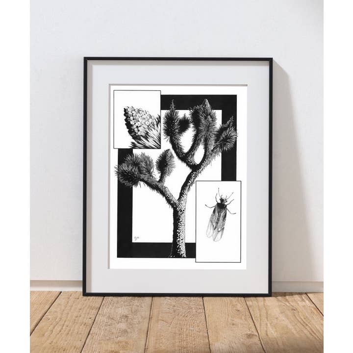 Joshua Tree. Hand Drawn Pen and Ink Botanical Illustration for wholesale by Tony Rubsam Illustrations