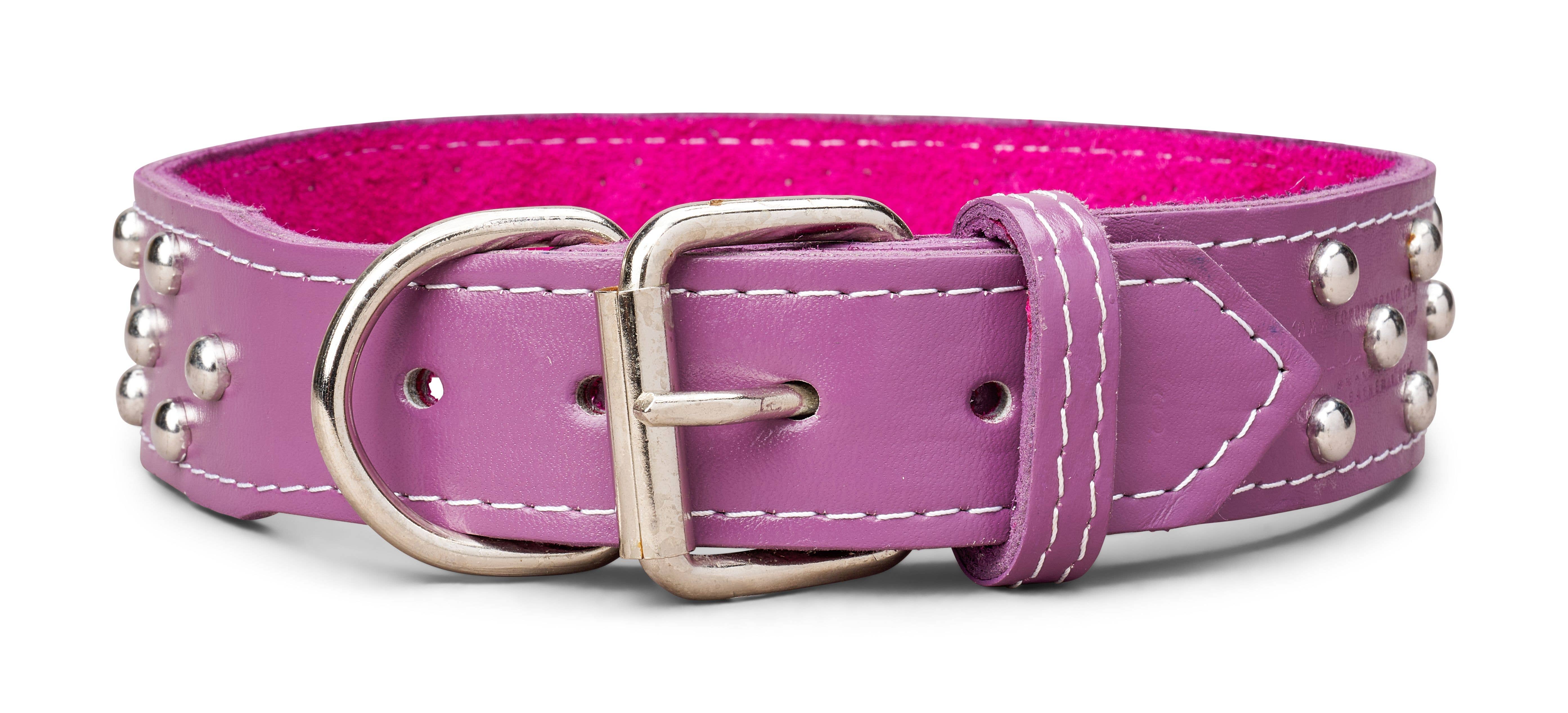 TOP DOG BRAND INC – Großhandel Haustierhalsband – Hund – 1 3/4 Zoll breite Lederhalsbänder mit Nieten9