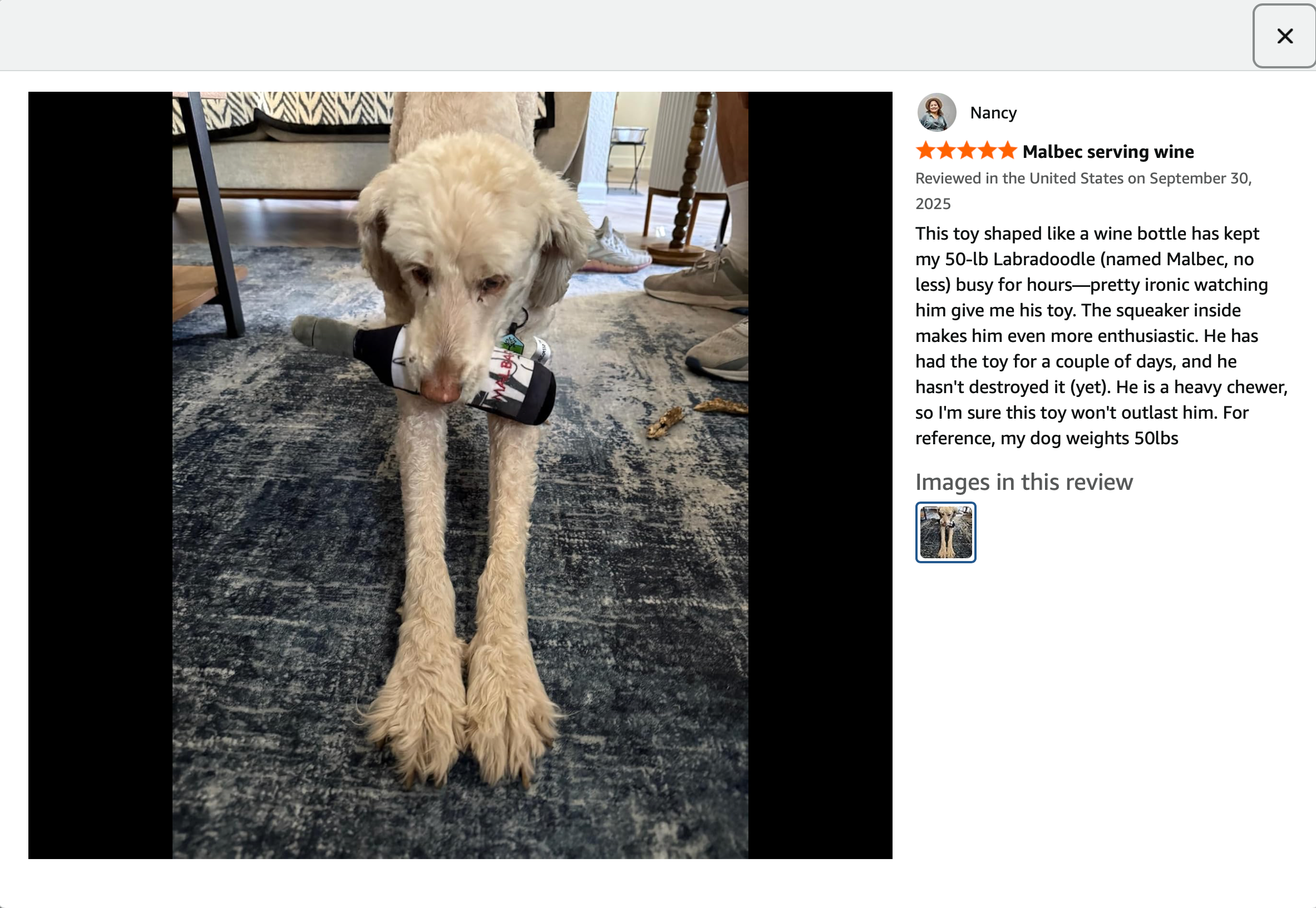 Pawcasso – Peluche - Cão por atacado – Malbark5