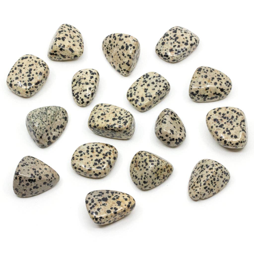 7East - Wholesale Spiritual Stone/Crystal - Dalmatin - Trumlad0