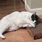 Cat Scratcher Guy - Venta al por mayor Rascador - Gatos - Rascador ancho de madera para gatos hecho a mano