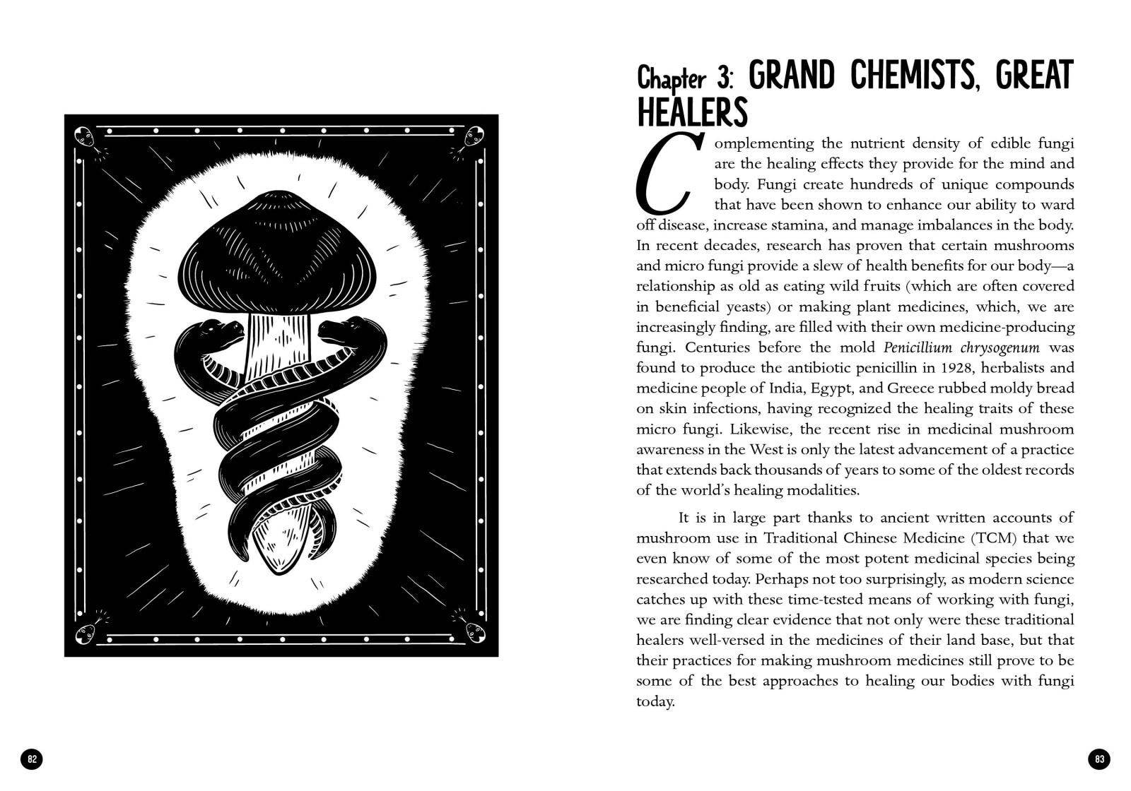 Microcosm Publishing & Distribution – wholesale Natur- och friluftsbok – Mykokulturell revolution: Att förändra vår värld med svampar3