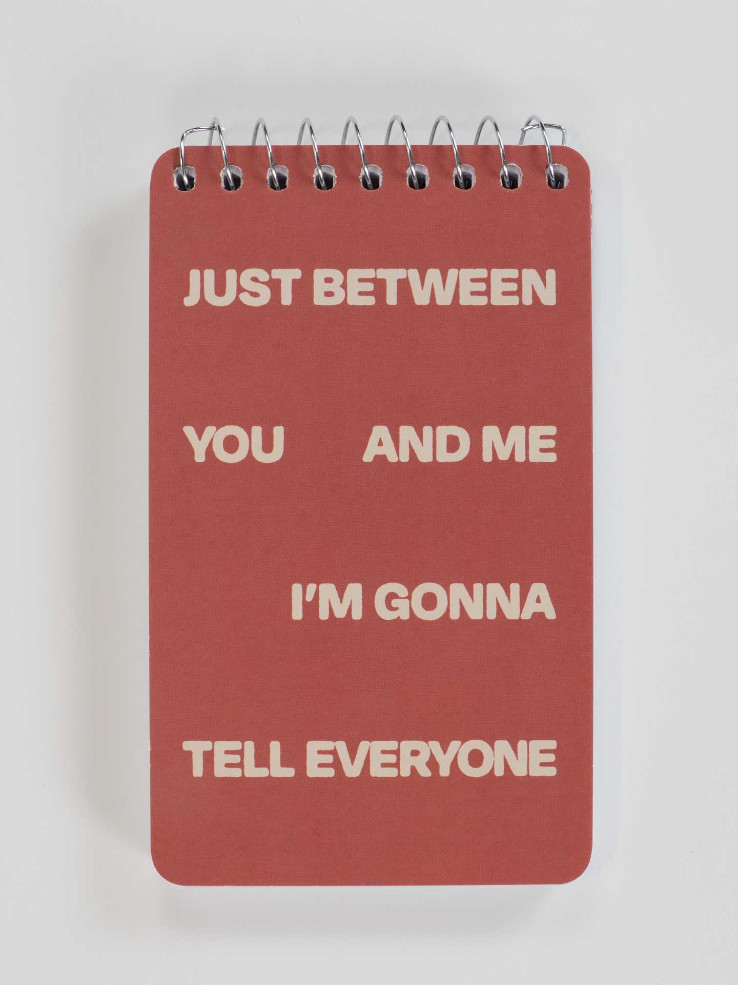 Incognito – wholesale Notebook – PP102 Just Between You And Me I'm 3x5 Spiral Notebook0
