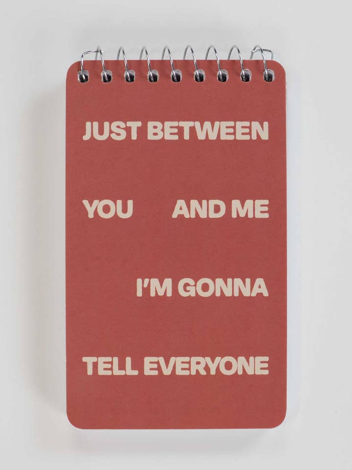 PP102 Just Between You And Me I'm 3x5 Spiral Notebook for wholesale by Incognito