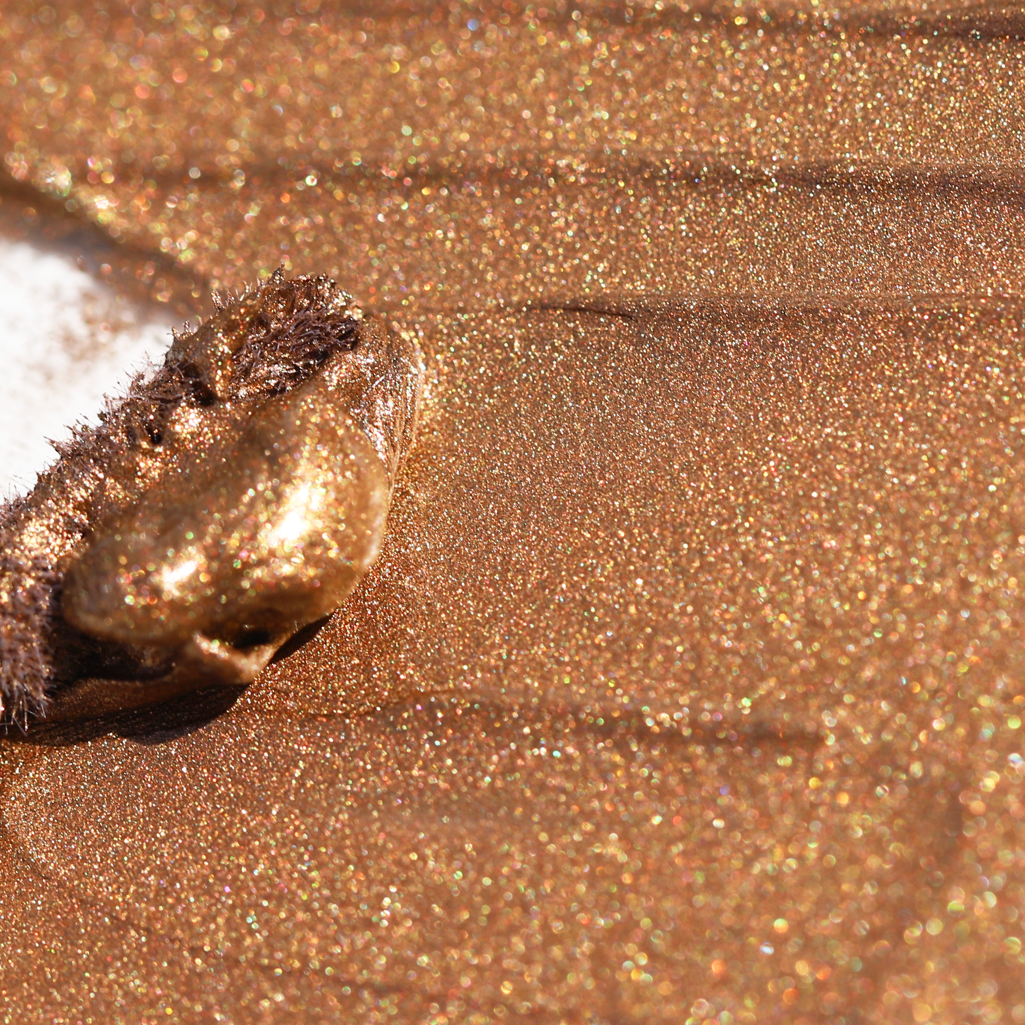 Half Caked - Wholesale Eyeshadow - Night Show Liquid Shadow8