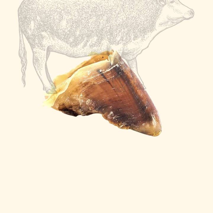 Truffe Délice - Venta al por mayor Hueso/rollito masticable - Perros - Zueco de buey3