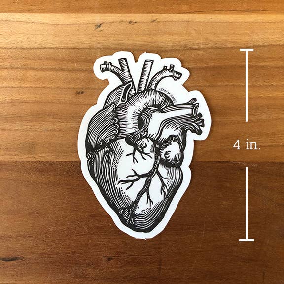 Anatomical Heart STICKER for wholesale by Lynn-oleum