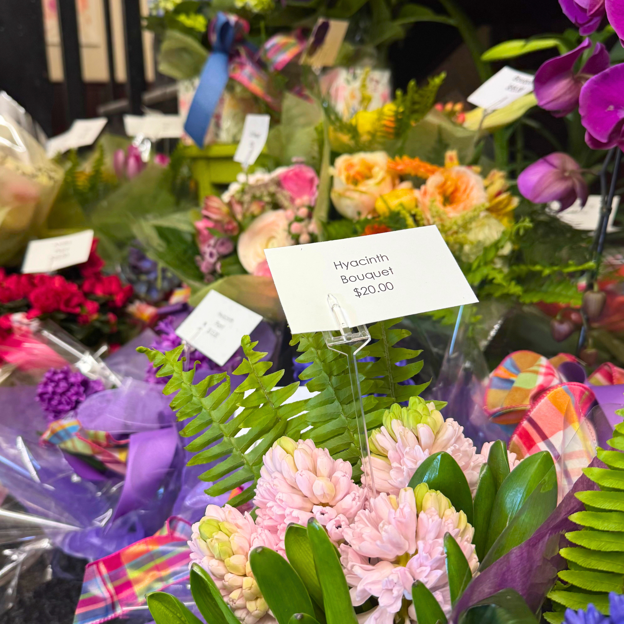 Jacobson - Wholesale Craft Supplies - Cardette Card Holders - Box of 10006