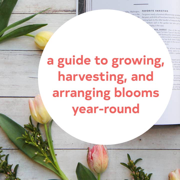 Chronicle Books - Wholesale Book - Adult - Floret Farm's Cut Flower Garden