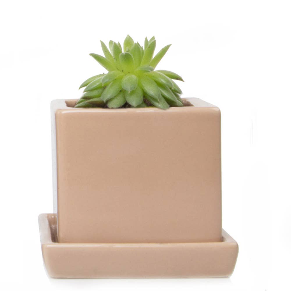 Chive - Wholesale Plant Pot - Cube Pot With Saucer And Drainage Hole 60 Plus Colors17