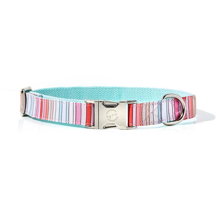 BRANDI STRIPE DOG COLLAR for wholesale by Roxy & Co. Canine Accessories