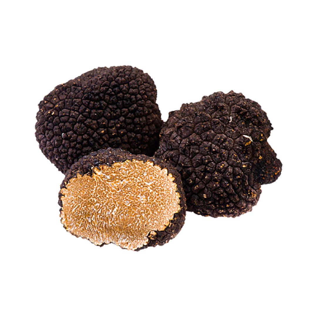 Conviene srls – Großhandel Getrocknete/dehydrierte Früchte – Sommertrüffel - Schwarzes Herz der Abruzzen