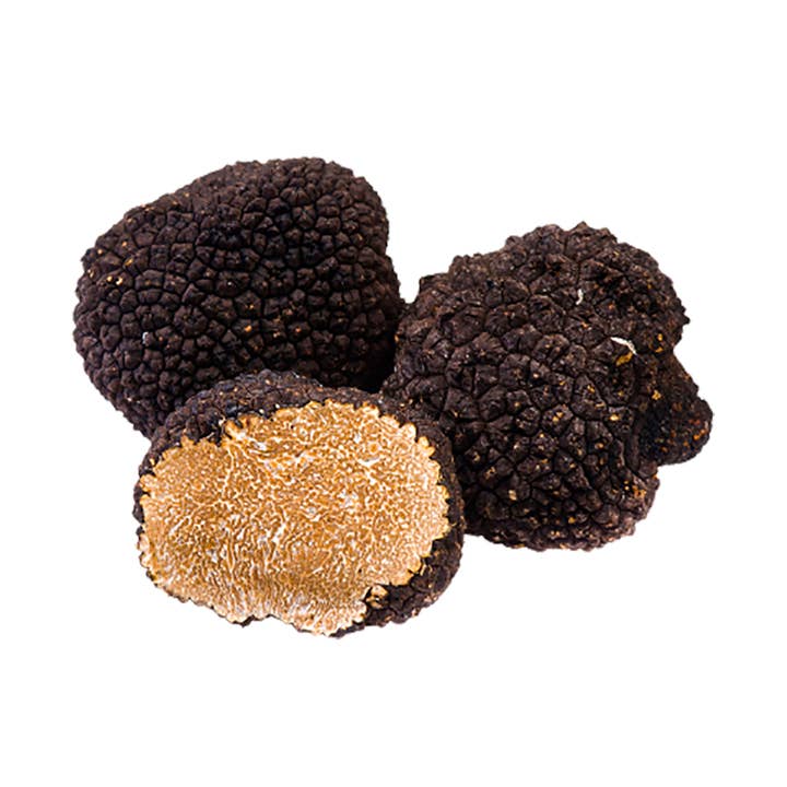 Conviene srls – Großhandel Getrocknete/dehydrierte Früchte – Sommertrüffel - Schwarzes Herz der Abruzzen0