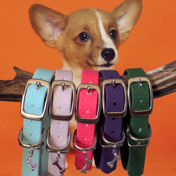 Hundehalsband Pop Dog "Hexa-Confort" | Hexa 16 mm, 20 mm | Wouf-Leine für den Großhandel von Laisse de wouf