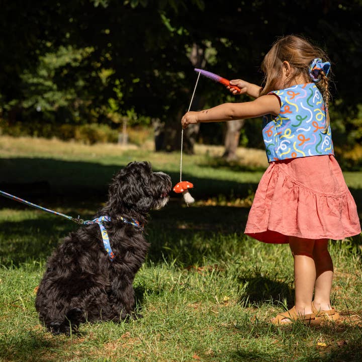 Hiro + Wolf – wholesale Pet toy – Cat – Magical Mushroom Teaser Cat Toy2