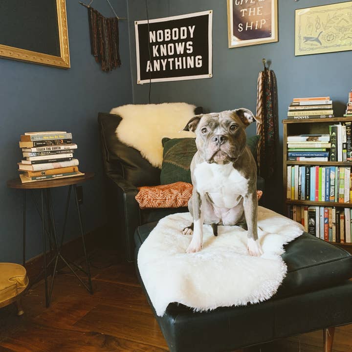 Oxford Pennant - Wholesale Flag - Nobody Knows Anything Camp Flag4