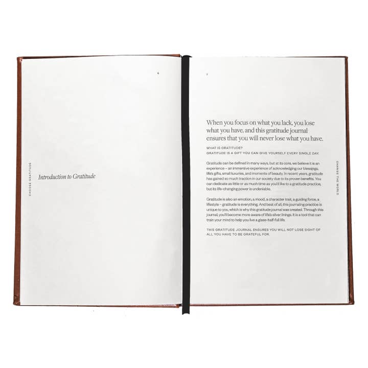 Gratitude Gifted - Wholesale Journal/Diary - CHOOSE GRATITUDE CHANGE THE WORLD: A DAILY GRATITUDE JOURNAL1