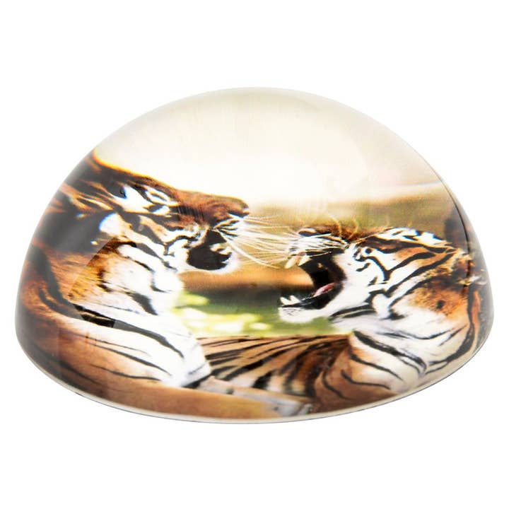 80 MM DOME PAPERWEIGHT TIGER LLB kids toys for wholesale by La Luna Bella - Toys