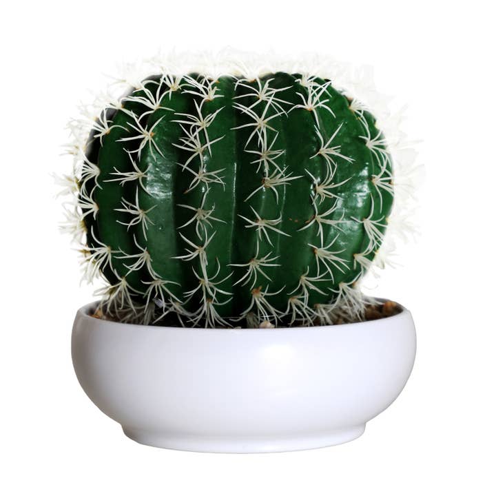 Planta Cacto, De Plástico, Em Cor Verde, De 20X20X23cm por atacado de B&B