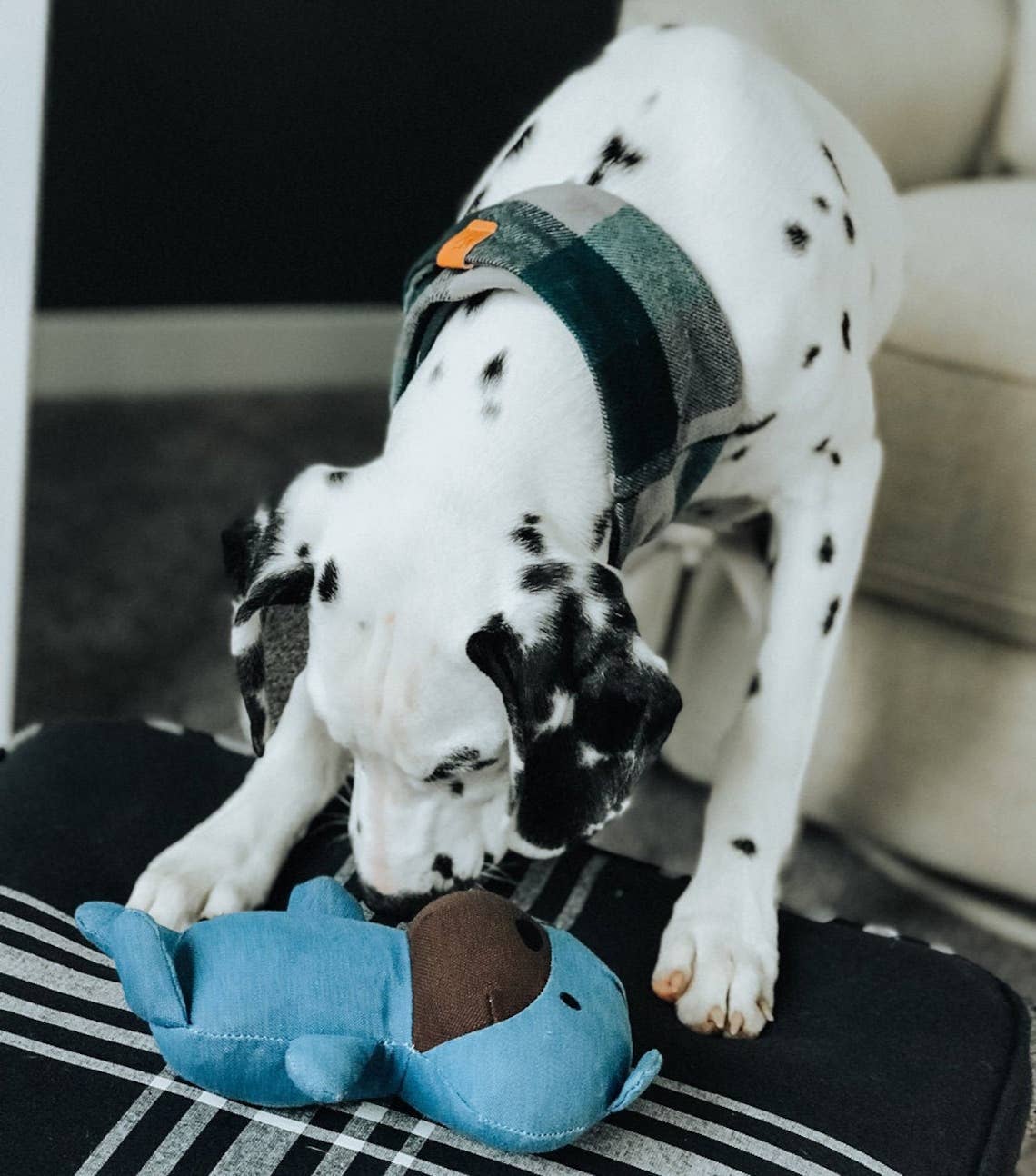 Lily Anne Boutique - Wholesale Pet Plush Toy - Dog - Bear Dog Toy - Denim3