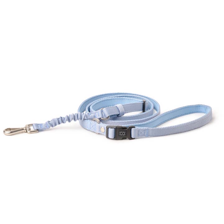 3-in-1 City Dog Leash - Rockstar Hudson for wholesale by DOGISTRY™