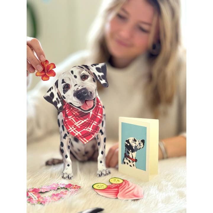 FreshCut Paper LLC - Wholesale Everyday Greeting Card - Dalmatian (6 Pop-up Greeting Cards)2