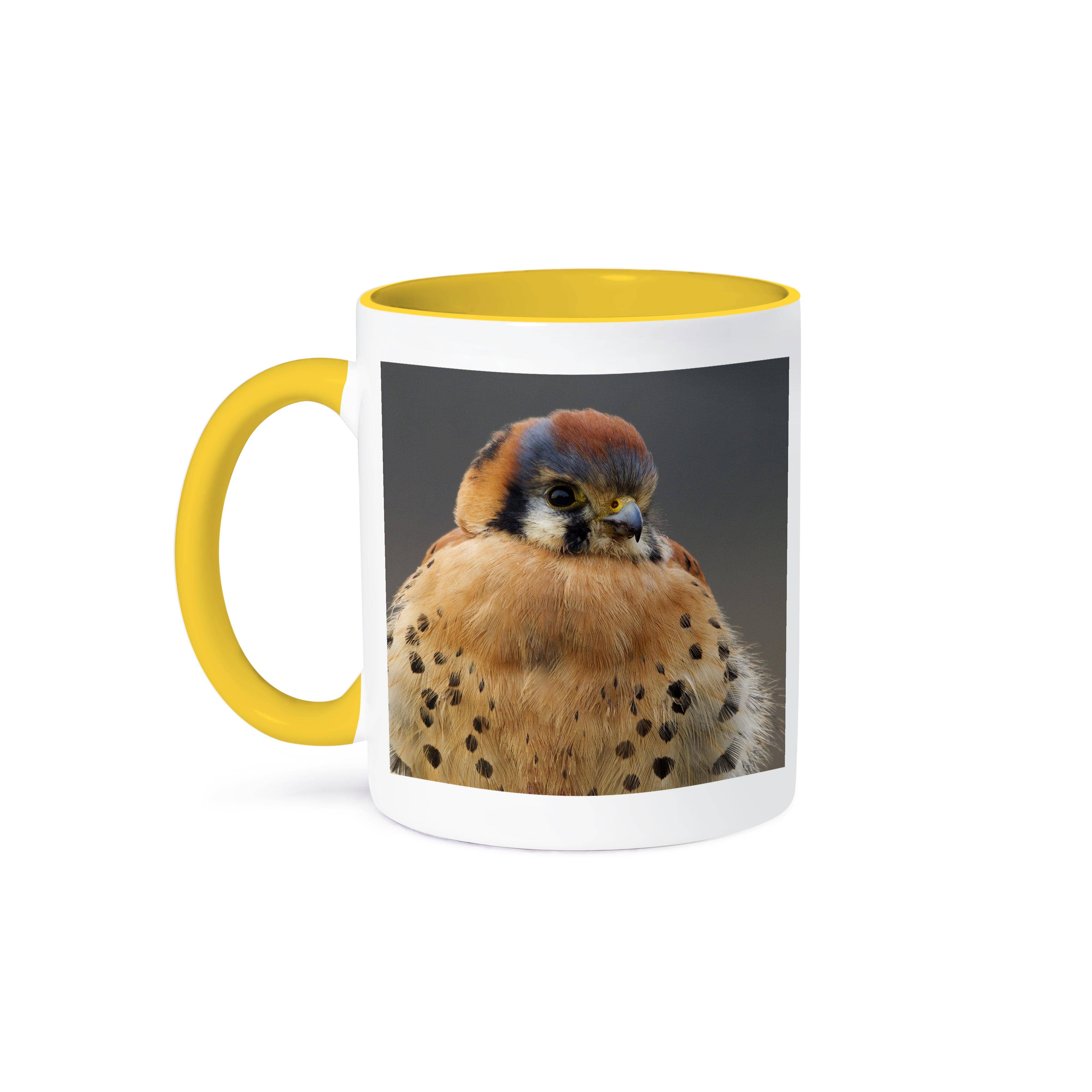 3dRose - Wholesale Coffee Mug - 3dRose, American Kestrel Hawk, Mug0