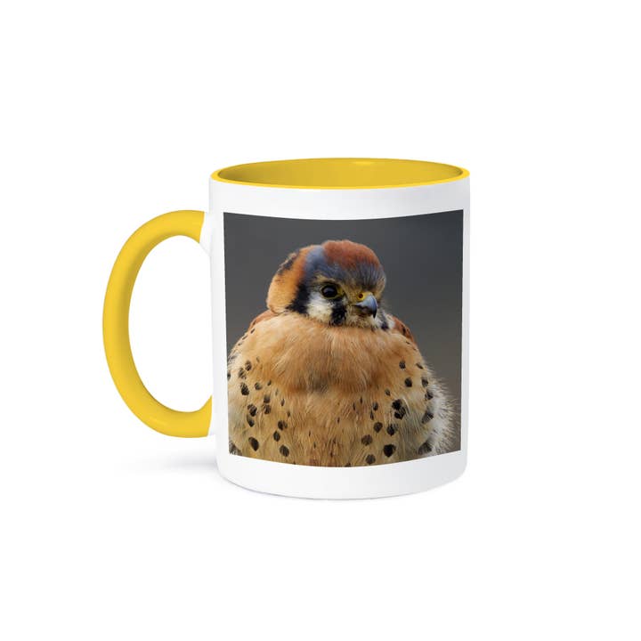 3dRose - Wholesale Coffee Mug - 3dRose, American Kestrel Hawk, Mug