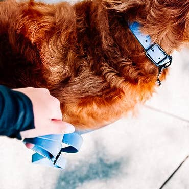 Ruff N' Fluff - Wholesale Pet Leash - Dog - 6 Ft. Adventure Proof Leashes0