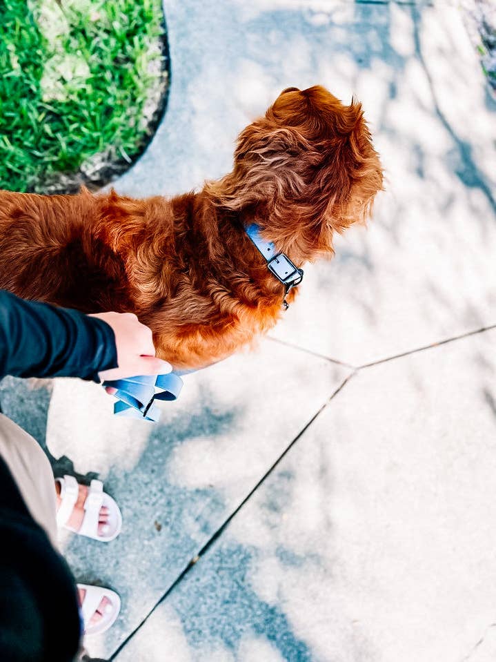 6 Ft. Adventure Proof Leashes for wholesale by Ruff N' Fluff