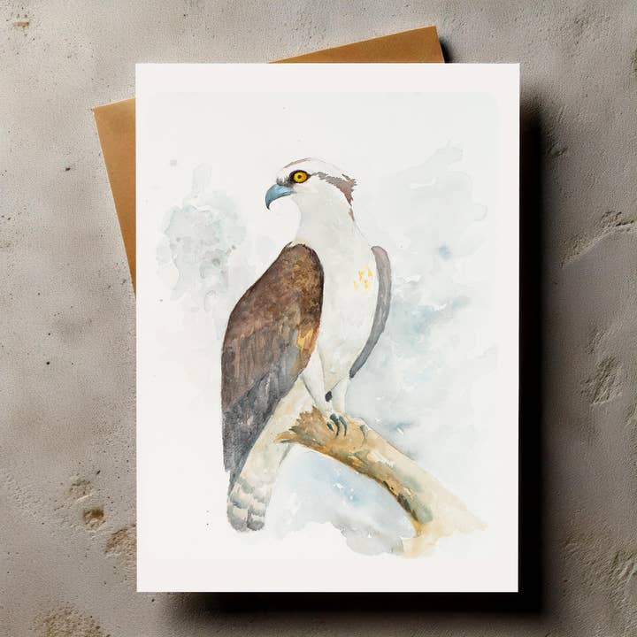 Bird Greeting Card Osprey for wholesale by Bonzo