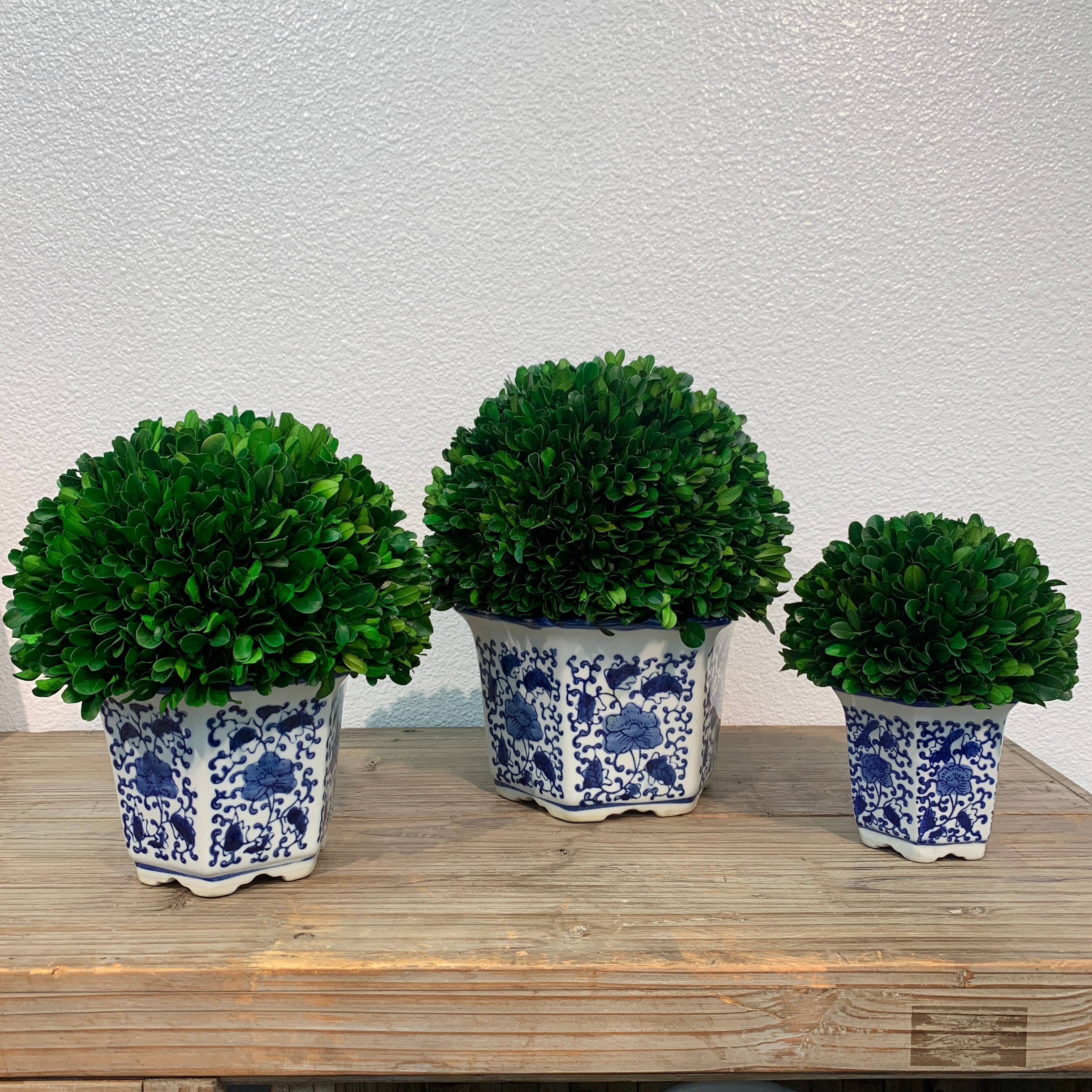 Galt International Company - Wholesale Artificial Plant - Boxwood Ball Topiary in Hexagon Blue & White Ceramic Pot13