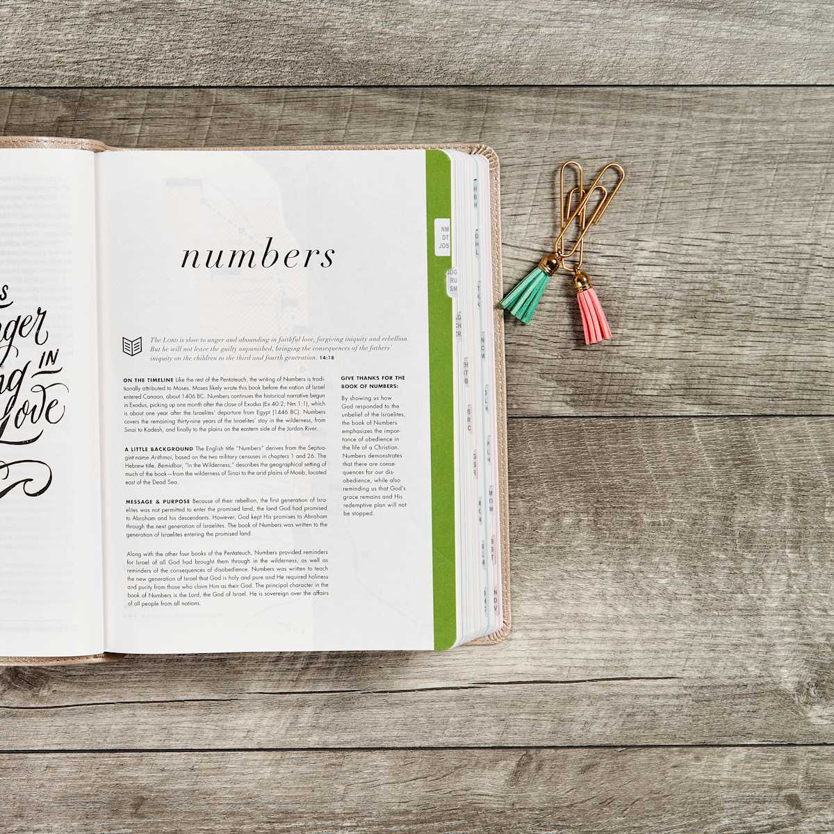 Lifeway - Wholesale Religion - CSB She Reads Truth Bible, Champagne Gold LeatherTouch3