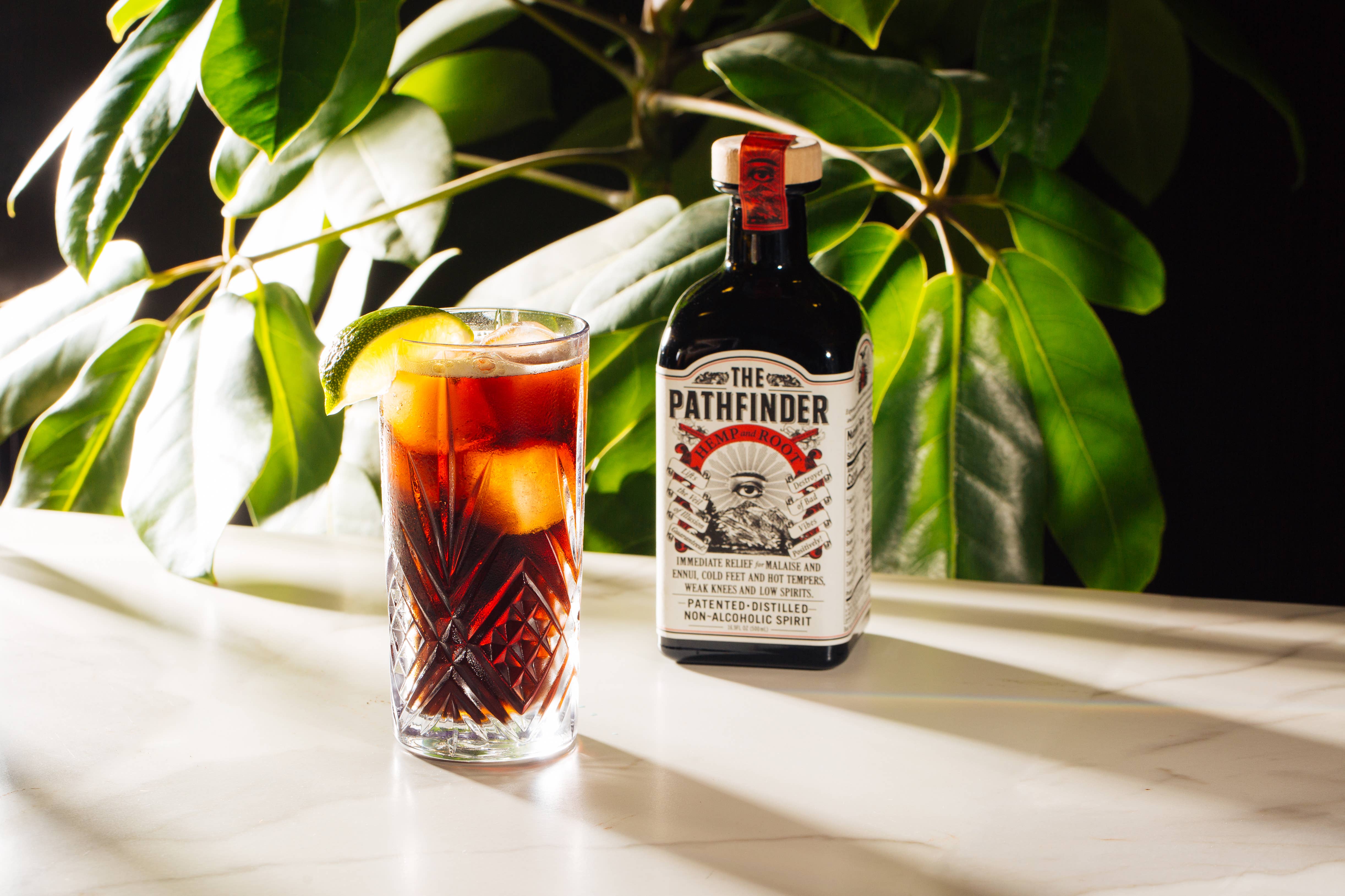 The Pathfinder - Wholesale Non-Alcoholic Spirits/Wine/Beer - The Pathfinder Hemp and Root Non-Alcoholic Spirit