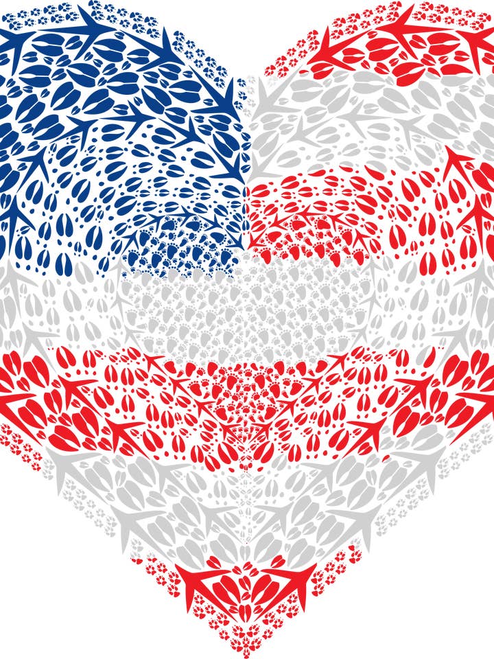 Patriotic Heart for wholesale by Bold Spark Design & Stationery