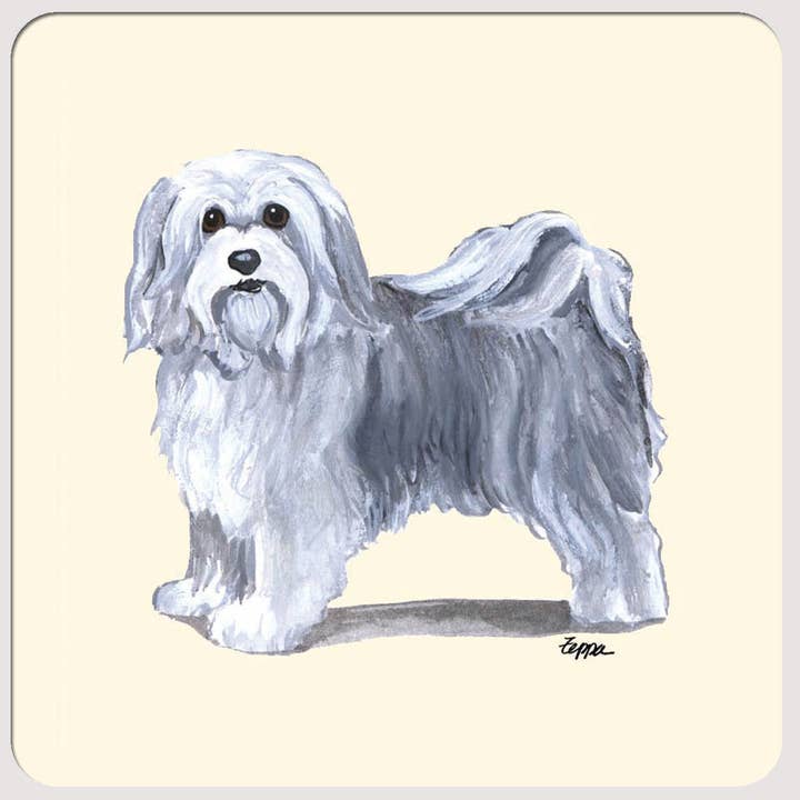 Havanese Beverage Coasters for wholesale by Zeppa Studios