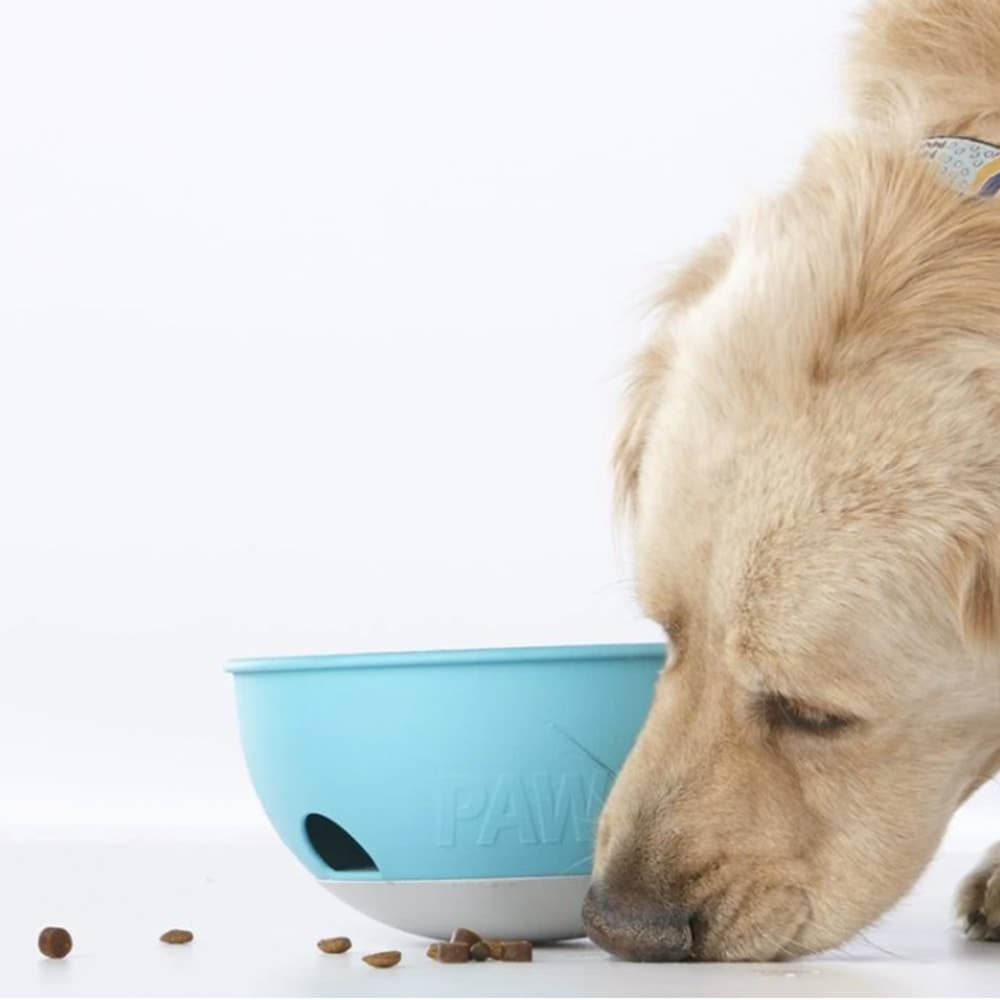 PAW5 - Wholesale Pet Bowl - Cat/Dog - Rock N Bowl2