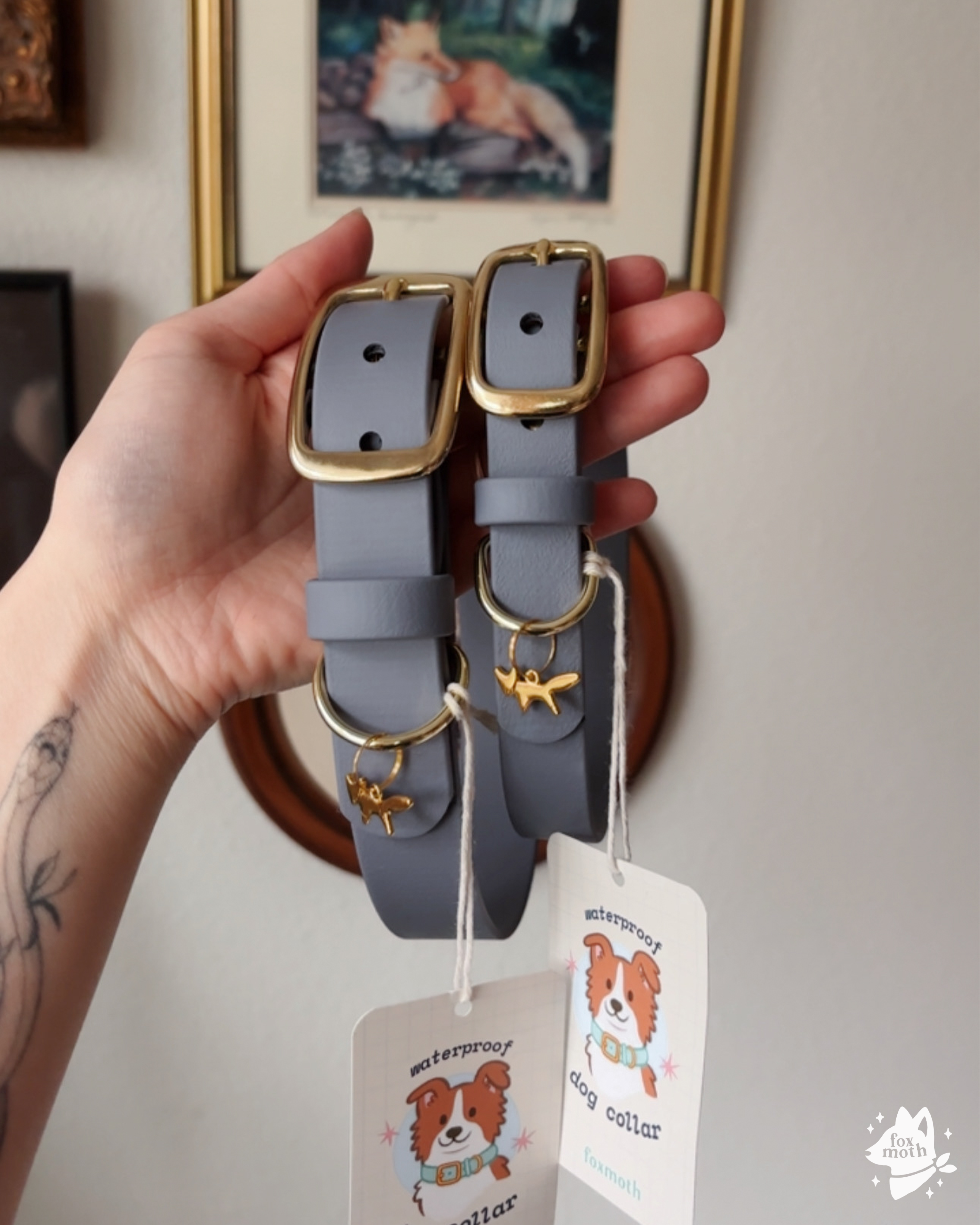 FoxMoth - Wholesale Pet Collar - Dog - Modern Waterproof Biothane Dog Collar [All 17+ Colors]19