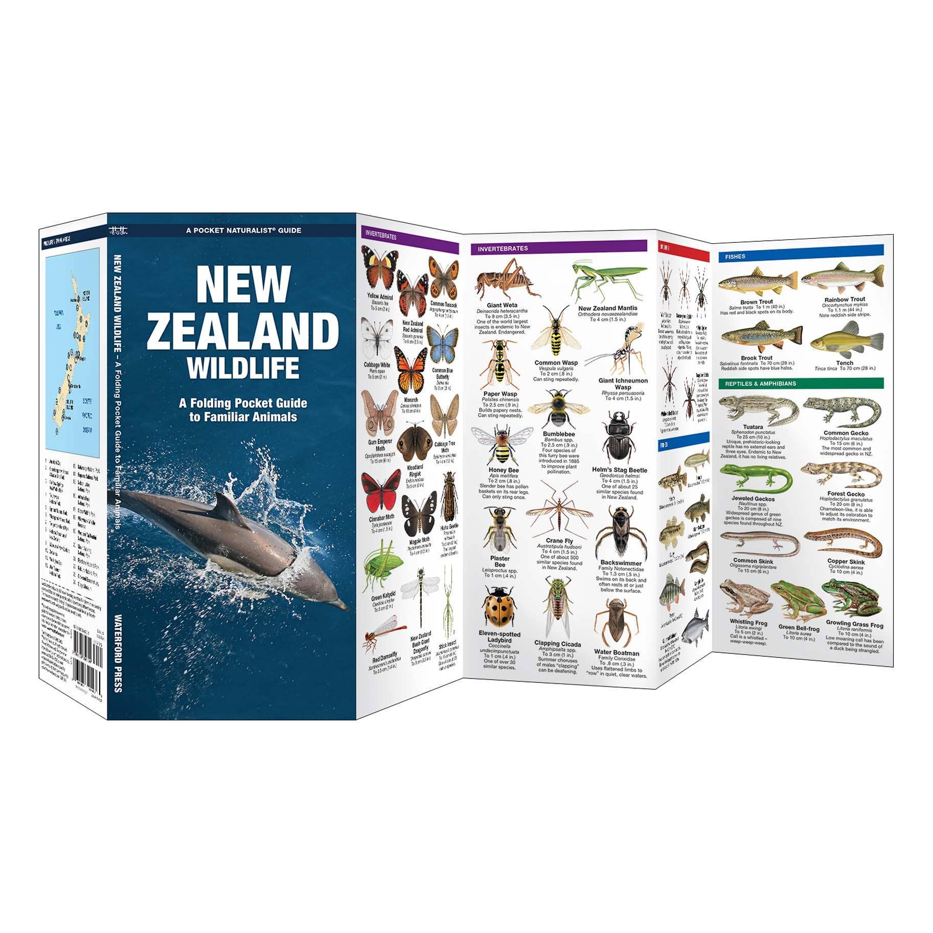 REMOVED BRAND - Wholesale Nature & Outdoors - New Zealand Wildlife Nature Guide1