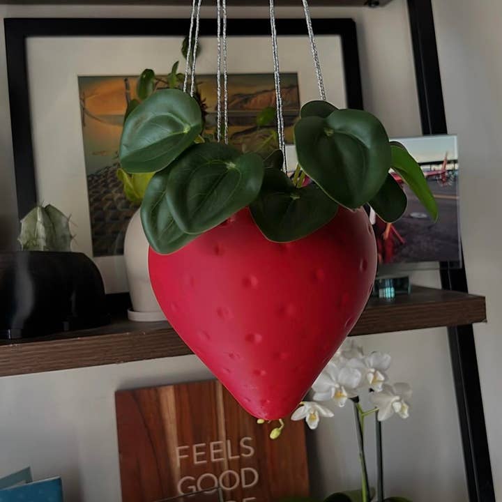 Peachy Pilea - Wholesale Hanging Planter - Hanging Strawberry Planter | More Colors Available3