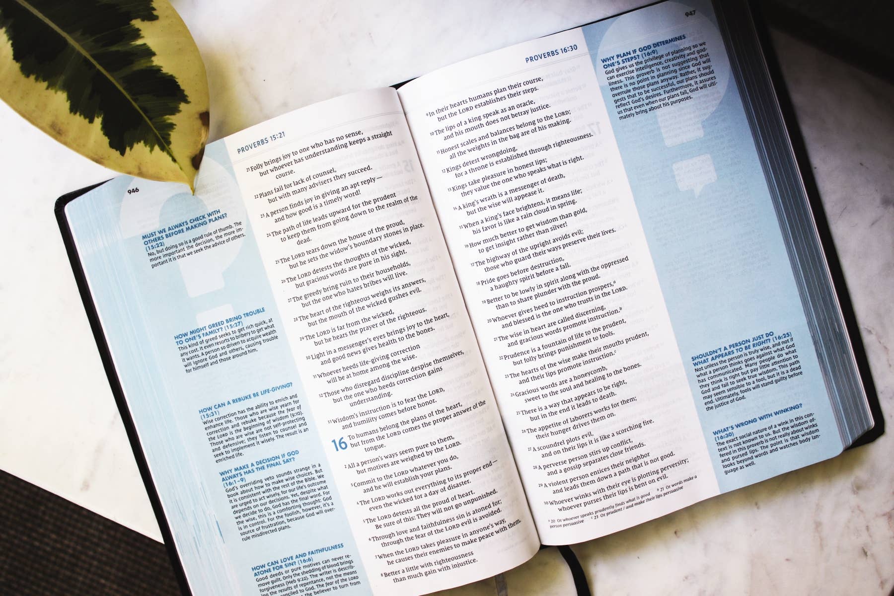 HarperCollins Christian Publishing - Wholesale Reference - NIV Quest Study Bible, Large Print, Bonded Leather, Black4