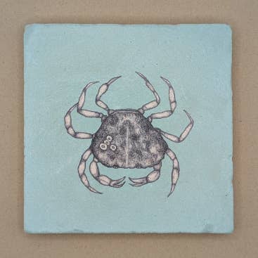 Piastrella - Granchio per la vendita all'ingrosso da parte di moreydesign | ask a duck