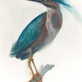 Green Heron ~ "Patience" ~ "Oh, to Fly" ~ Giclée Print for wholesale by Holly Wach Art LLC