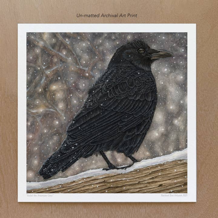 Rachael Bee Artwork - Wholesale Art Print - American Crow Art Print0