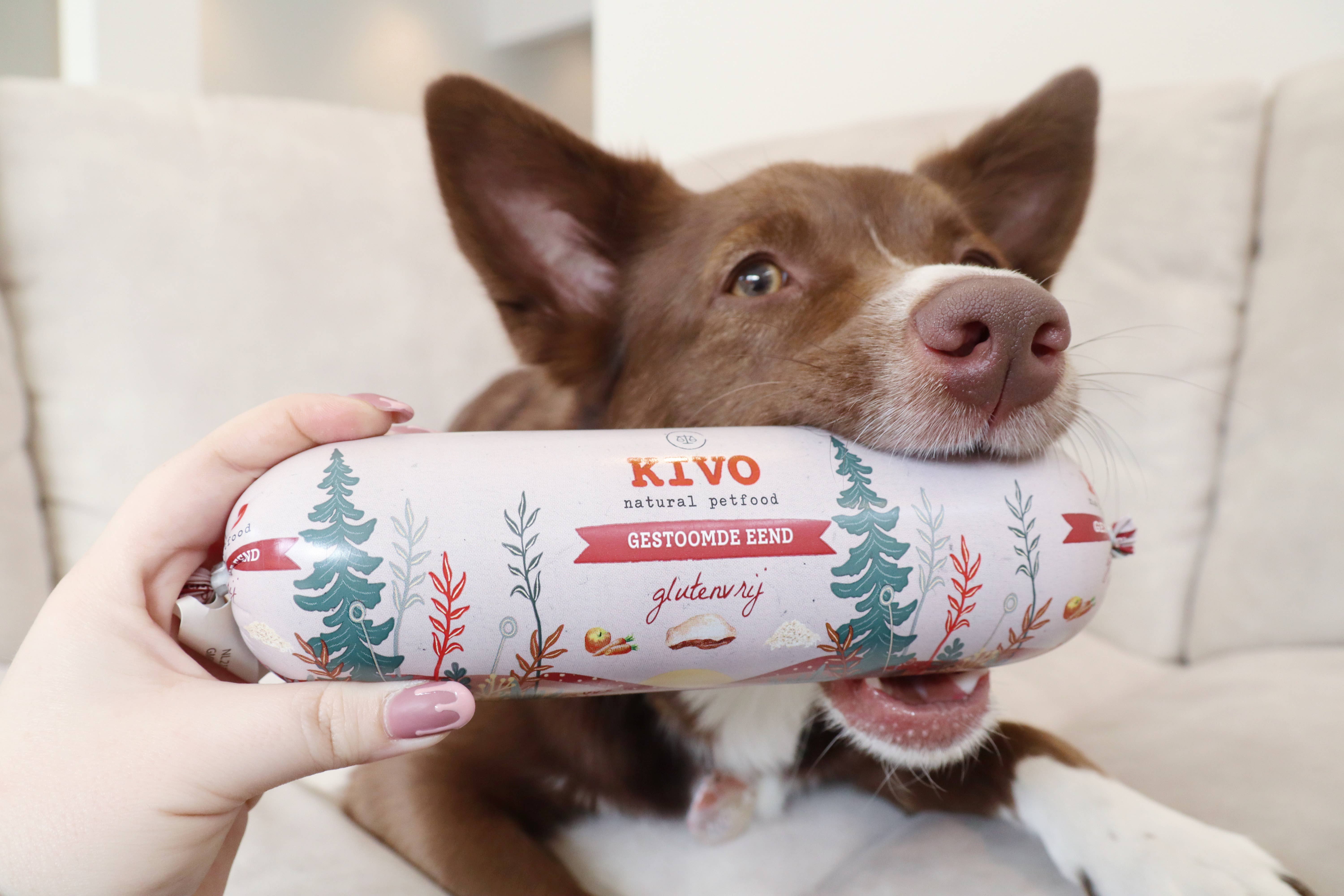 Kivo Petfood - Vendita all'ingrosso Cibo - Cani - Salsiccia di anatra al vapore stabile a scaffale - Senza glutine1