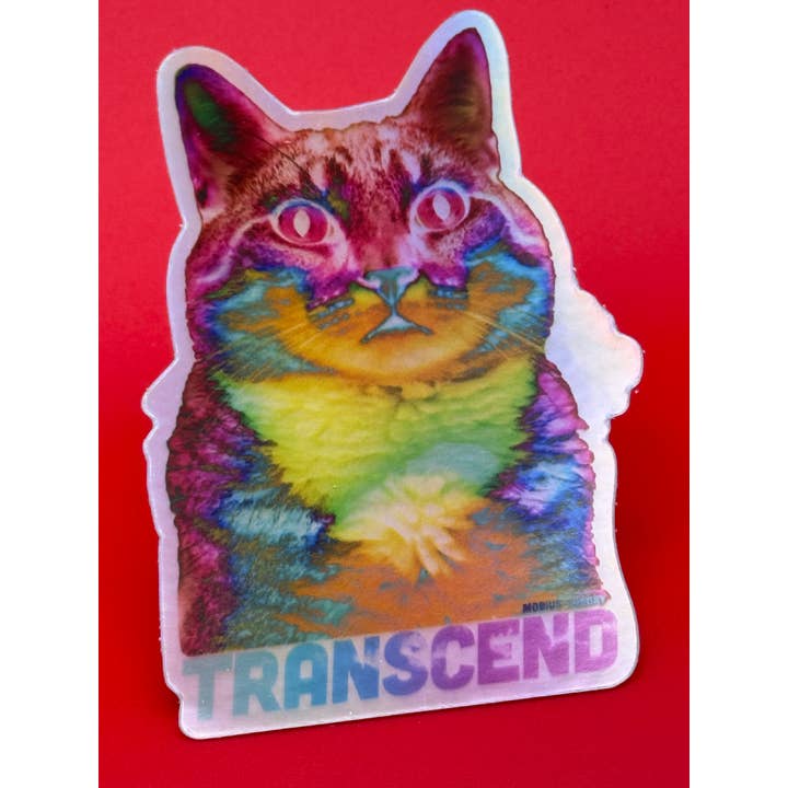 Mobius Theory - Wholesale Sticker - Holographic Psychedelic TRANSCEND 3.5" Die Cut Sticker3