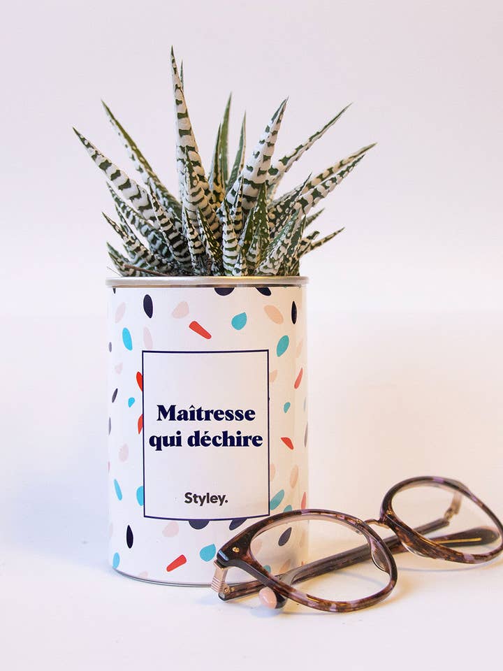 Maestra Che Spacca - Cactus per la vendita all'ingrosso da parte di Styley